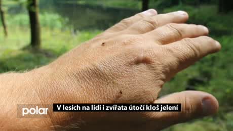Regionální zprávy POLAR