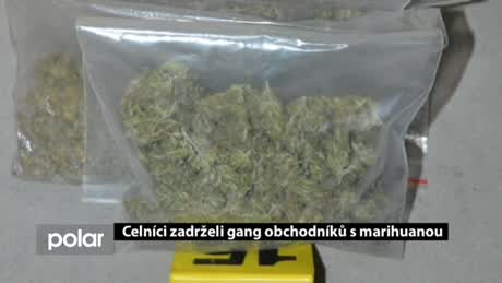 Regionální zprávy POLAR