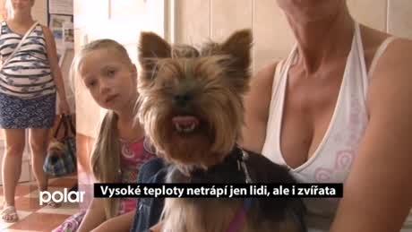 Regionální zprávy POLAR