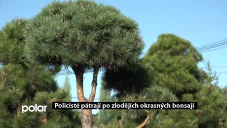 Regionální zprávy POLAR