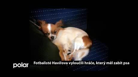 Regionální zprávy POLAR