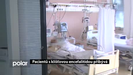 Regionální zprávy POLAR