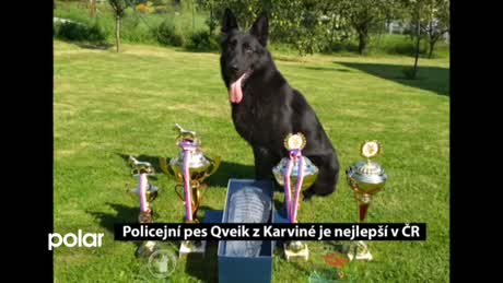 Regionální zprávy POLAR