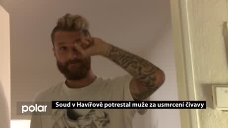 Regionální zprávy POLAR