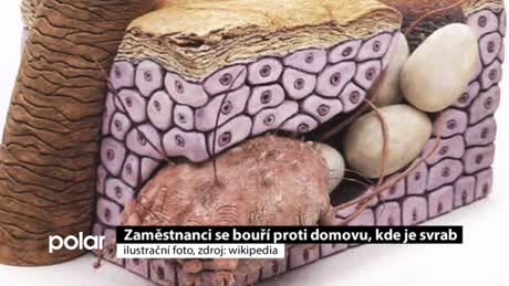 Regionální zprávy POLAR