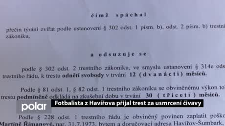 Regionální zprávy POLAR