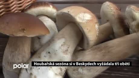 Regionální zprávy POLAR