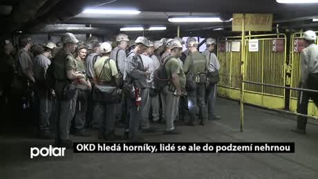 Regionální zprávy POLAR