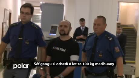 Regionální zprávy POLAR