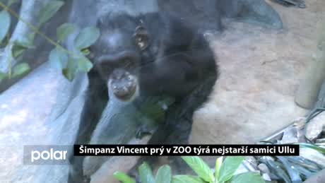 Regionální zprávy POLAR