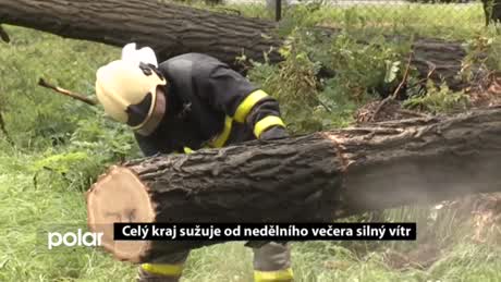 Regionální zprávy POLAR
