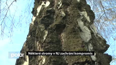 Regionální zprávy POLAR