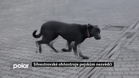 Regionální zprávy POLAR