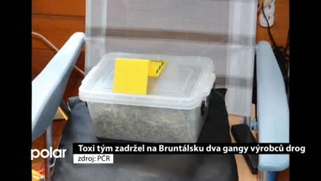 Regionální zprávy POLAR