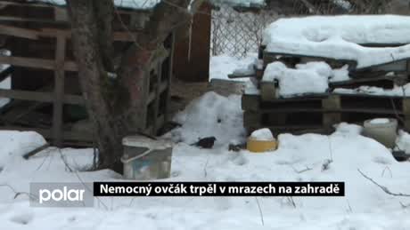 Regionální zprávy POLAR