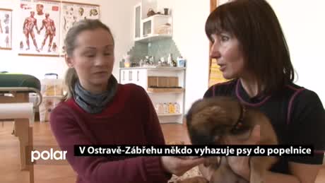 Regionální zprávy POLAR