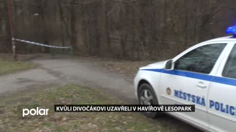 Regionální zprávy POLAR
