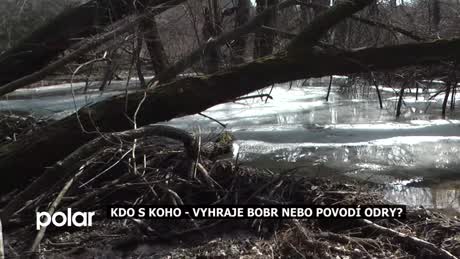 Regionální zprávy POLAR