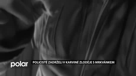 Regionální zprávy POLAR