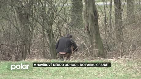 Regionální zprávy POLAR
