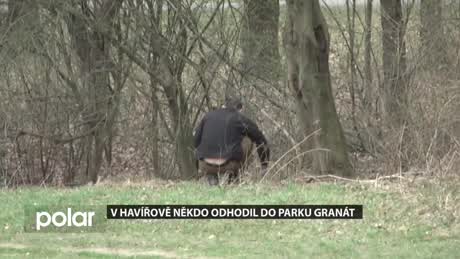 Regionální zprávy POLAR