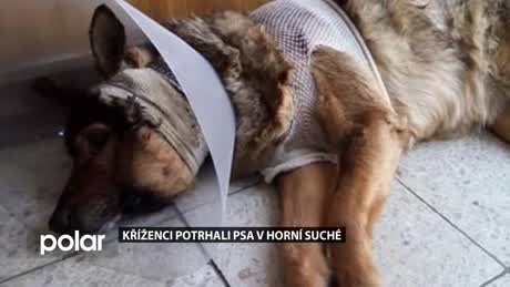 Regionální zprávy POLAR