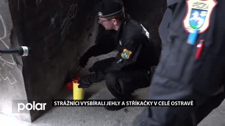 Regionální zprávy POLAR
