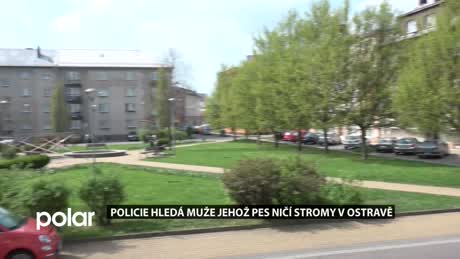 Regionální zprávy POLAR