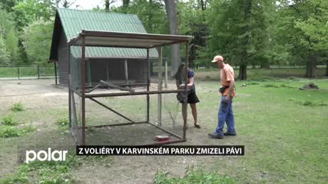 Regionální zprávy POLAR