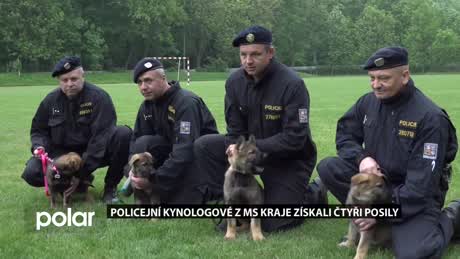 Regionální zprávy POLAR