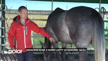 Regionální zprávy POLAR
