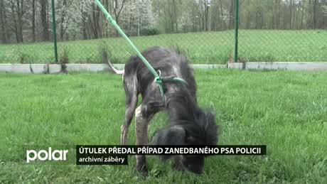 Regionální zprávy POLAR