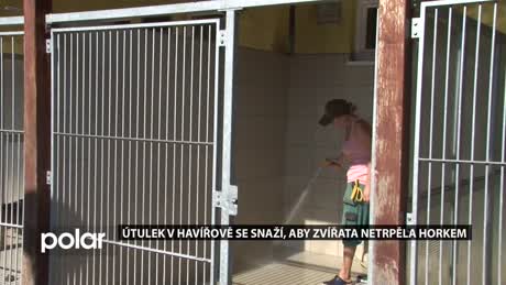 Regionální zprávy POLAR