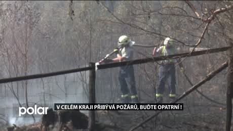 Regionální zprávy POLAR