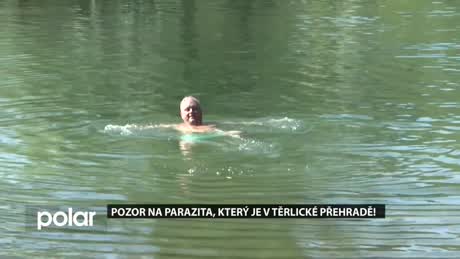 Regionální zprávy POLAR