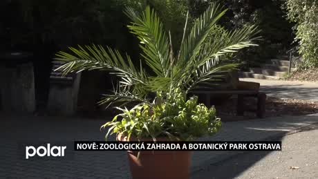 Regionální zprávy POLAR