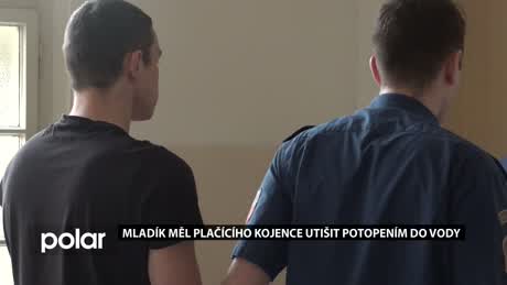 Regionální zprávy POLAR