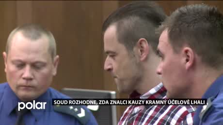 Regionální zprávy POLAR