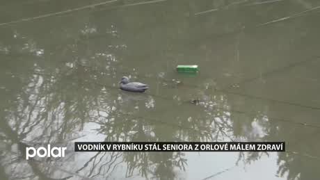 Regionální zprávy POLAR