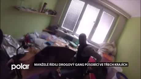 Regionální zprávy POLAR