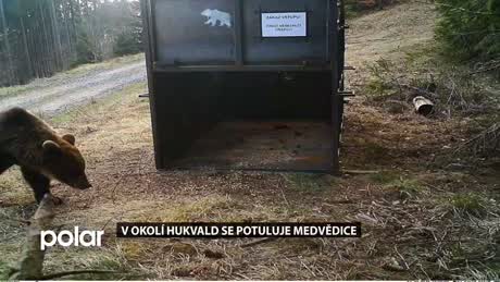 Regionální zprávy POLAR