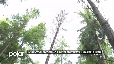Regionální zprávy POLAR