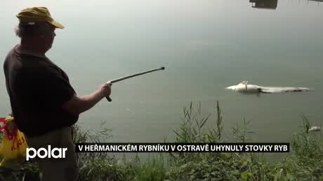 Regionální zprávy POLAR