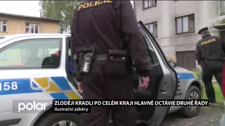 Regionální zprávy POLAR