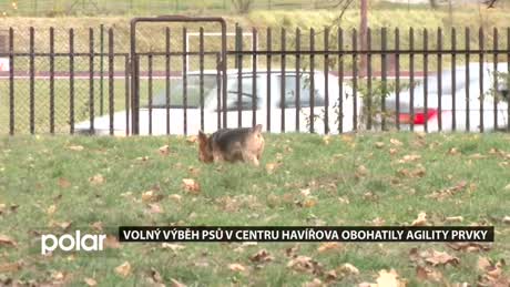 Regionální zprávy POLAR