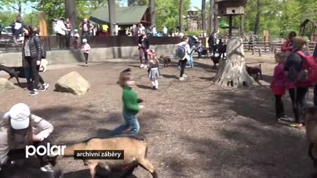 Regionální zprávy POLAR