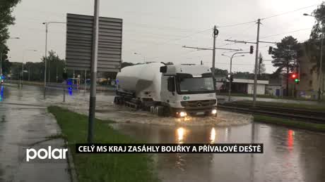 Regionální zprávy POLAR
