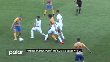 Regionální zprávy POLAR