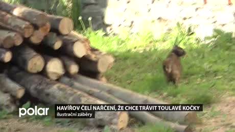 Regionální zprávy POLAR