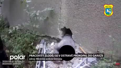 Regionální zprávy POLAR